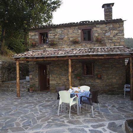 Casa Princesa Peralta Lousã Екстериор снимка